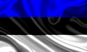 Эстония - Национальная виза D - рабочая виза