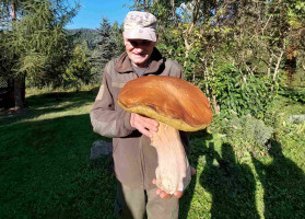 В Україні знайшли гриба-рекордсмена
