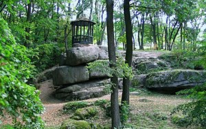 Паркова романтика: екскурсія до Білої Церкви, Уманя, Буків.