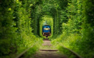Тунель кохання та замки Волині