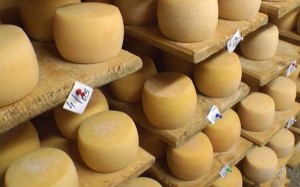 Термальні джерела, оленяча ферма та сироварня