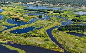 Таврійський бриз