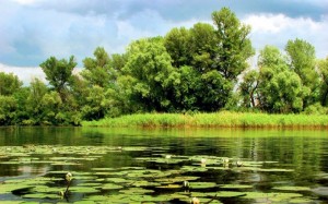 Таврійський бриз