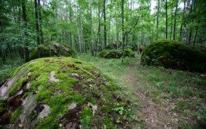 Древлянські міста та Кам'яне Село