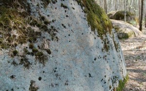 Древлянські міста та Кам'яне Село