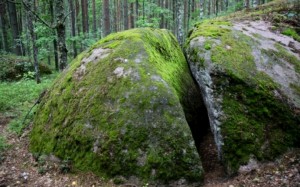 Древлянські міста та Кам'яне Село