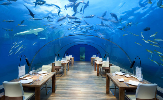 ПІДВІДНІ РЕСТОРАНИ НА МАЛЬДИВАХ