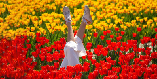 Квітковий туризм в Україні