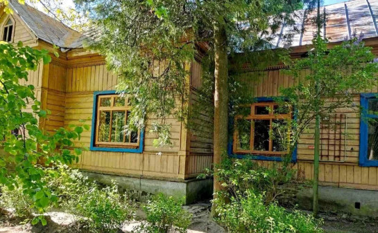 У Києві створюють музей лісу