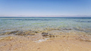 Що лікує вода Червоного моря?